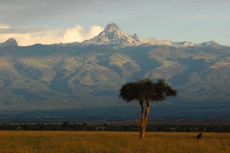 Ol Pejeta Mount Kenya Views